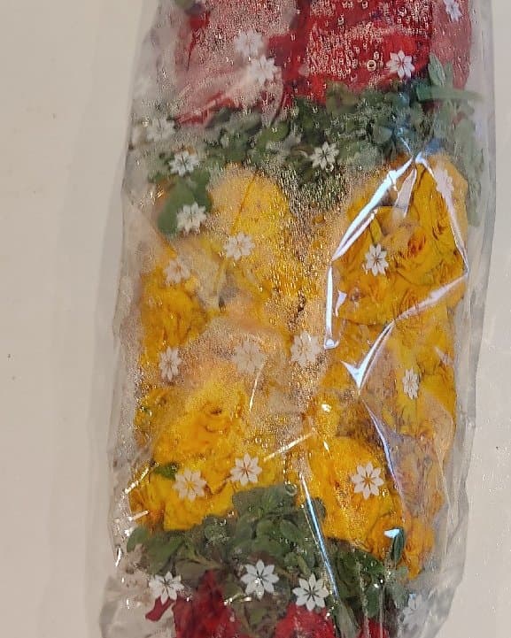Red and yellow button rose 1ft garland